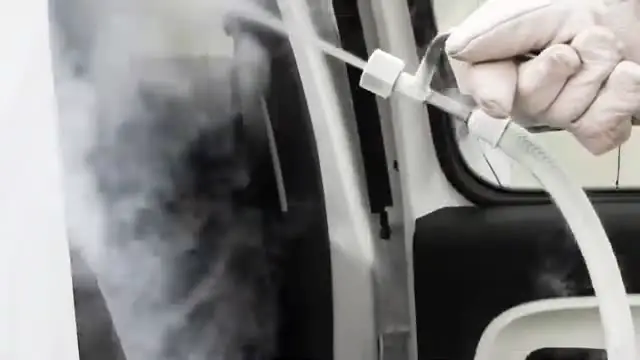 Disinfestazione veicoli con azoto liquido presso Stella Service Car